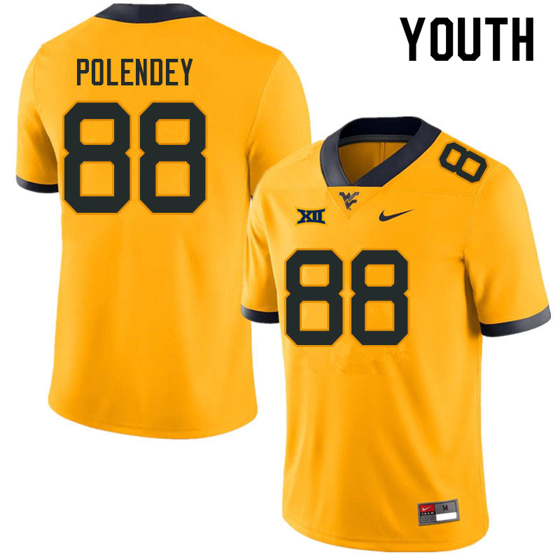 Youth #88 Brian Polendey West Virginia Mountaineers College Football Jerseys Sale-Gold - Click Image to Close